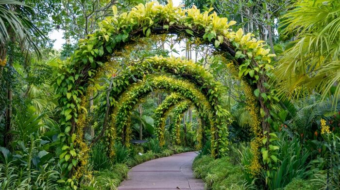 Skóra jest jak ogród, im bardziej dojrzała tym piękniejsza, wystarczy o nią dbać