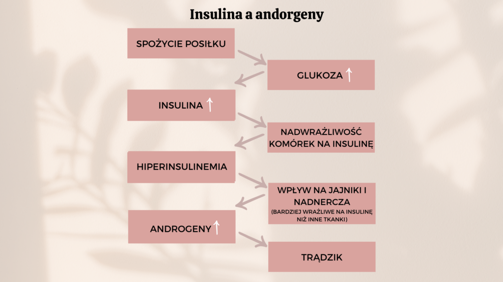  androgeny w trądziku, trądzik hormonalny, jak rozpoznać trądzik hormonalny, jak pozbyć się trądziku hormonalnego, dieta w trądziku hormonalnym, dieta w trądziku, dieta antytrądzikowa, jak uspokoić hormony w trądziku